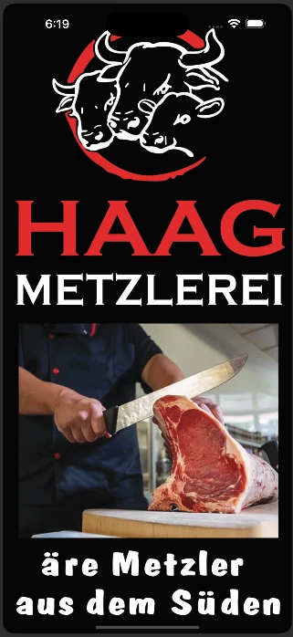 Haag App, Startsäit